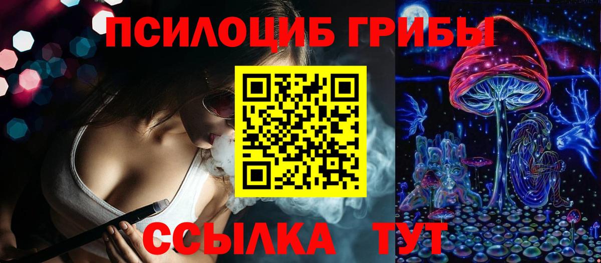 Псилоцибиновые грибы Psilocybine cubensis Сибай